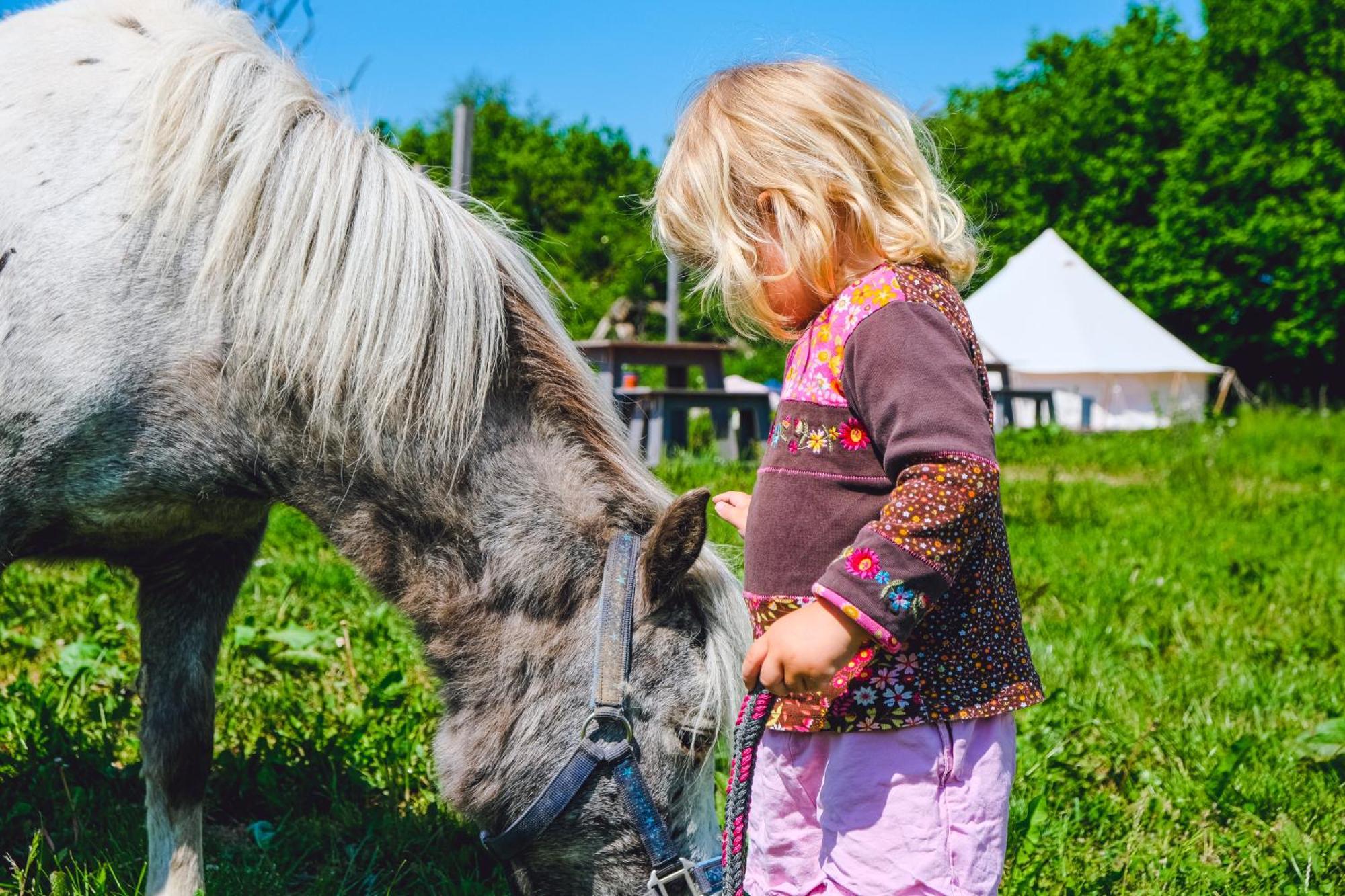 מלון Rendswuhren Domo Camp - Nature Glamping Hof Viehbrook מראה חיצוני תמונה
