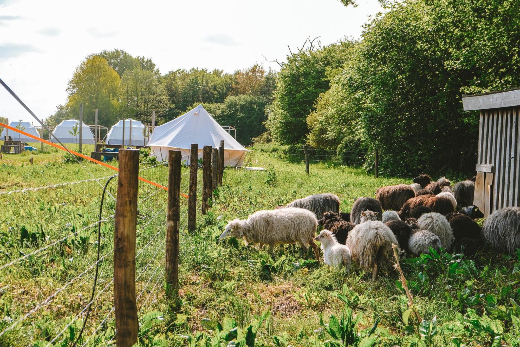 מלון Rendswuhren Domo Camp - Nature Glamping Hof Viehbrook מראה חיצוני תמונה